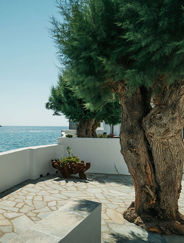 Η αυλή του seaside accommodation δίπλα στη θάλασσα